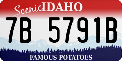 ID license plate 7B5791B