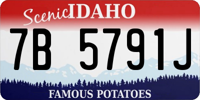 ID license plate 7B5791J