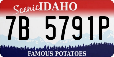 ID license plate 7B5791P