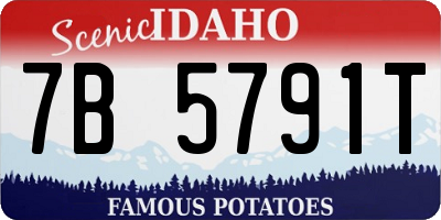 ID license plate 7B5791T