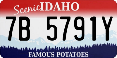 ID license plate 7B5791Y