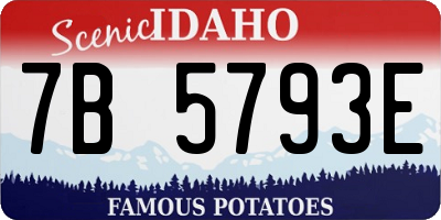 ID license plate 7B5793E