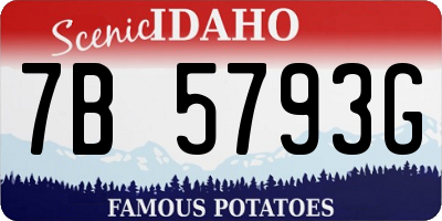 ID license plate 7B5793G
