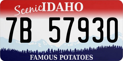 ID license plate 7B5793O