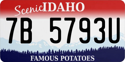 ID license plate 7B5793U