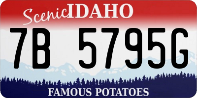 ID license plate 7B5795G