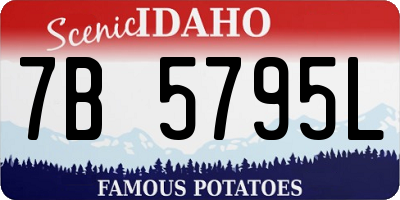 ID license plate 7B5795L