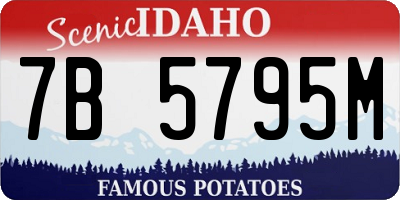 ID license plate 7B5795M