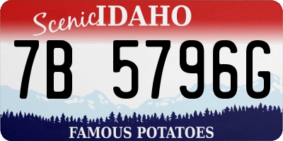 ID license plate 7B5796G