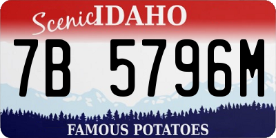 ID license plate 7B5796M
