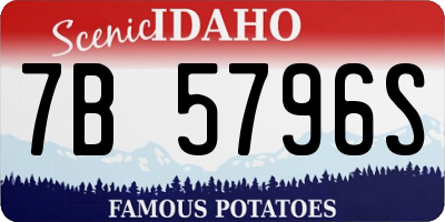 ID license plate 7B5796S