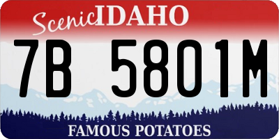 ID license plate 7B5801M