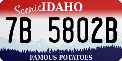 ID license plate 7B5802B