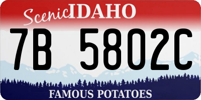 ID license plate 7B5802C