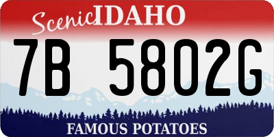 ID license plate 7B5802G