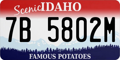 ID license plate 7B5802M