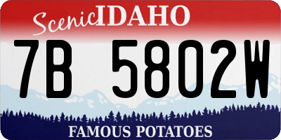 ID license plate 7B5802W