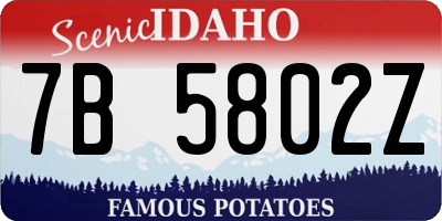 ID license plate 7B5802Z