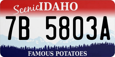 ID license plate 7B5803A