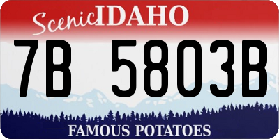 ID license plate 7B5803B