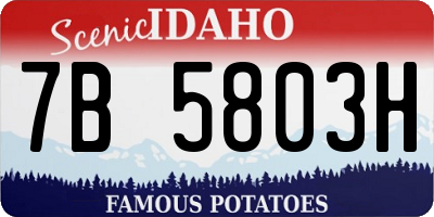 ID license plate 7B5803H