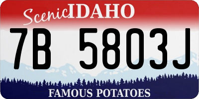ID license plate 7B5803J