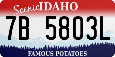ID license plate 7B5803L