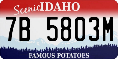 ID license plate 7B5803M