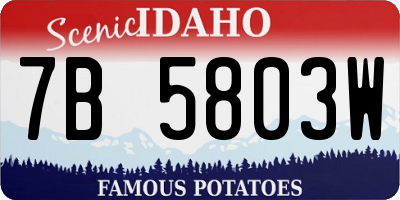 ID license plate 7B5803W
