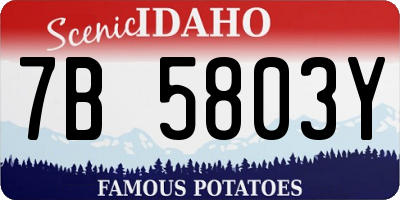 ID license plate 7B5803Y