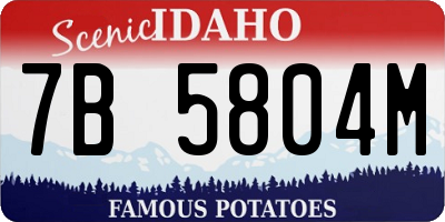 ID license plate 7B5804M