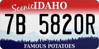 ID license plate 7B5820R