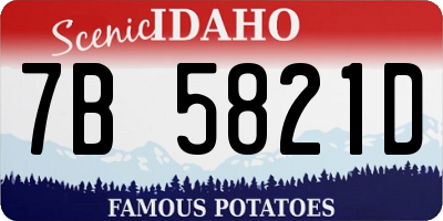 ID license plate 7B5821D