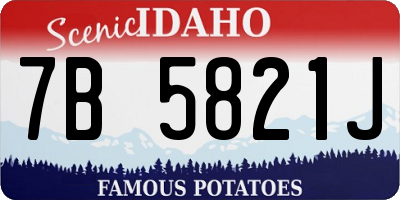 ID license plate 7B5821J