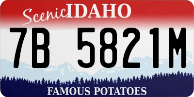 ID license plate 7B5821M