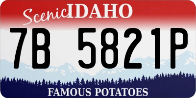 ID license plate 7B5821P