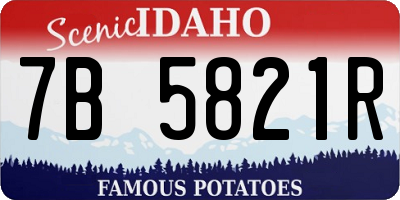 ID license plate 7B5821R
