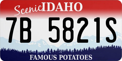 ID license plate 7B5821S