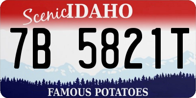 ID license plate 7B5821T