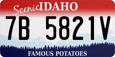 ID license plate 7B5821V