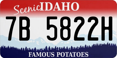 ID license plate 7B5822H
