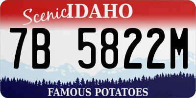 ID license plate 7B5822M