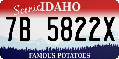 ID license plate 7B5822X