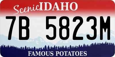 ID license plate 7B5823M