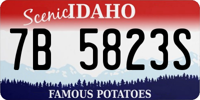 ID license plate 7B5823S