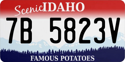 ID license plate 7B5823V