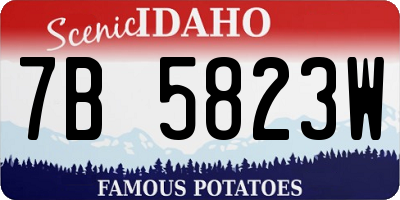 ID license plate 7B5823W