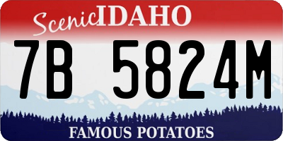 ID license plate 7B5824M