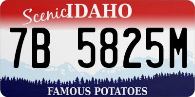 ID license plate 7B5825M