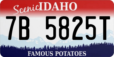 ID license plate 7B5825T